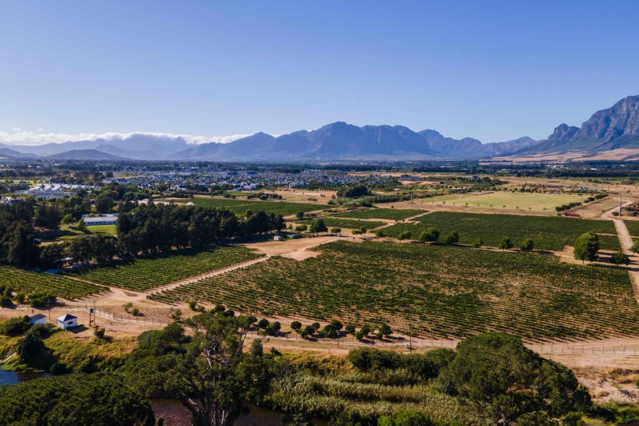 0 Bedroom Property for Sale in Val De Vie Estate Western Cape
